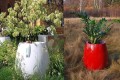 Donice Silba_białe_czerwona_aranzacje zewnętrzne.jpg