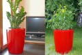 Donice Anakena_czerwony Ruby Red_aranzacja we wnętrzach.jpg