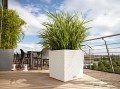 Lechuza Cube Cottage 30_biała_Liriope_muscari
