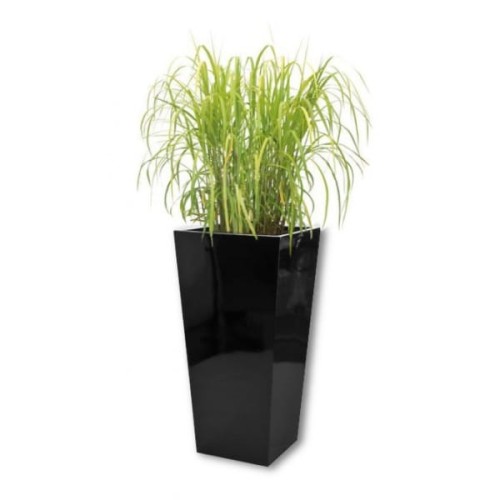 20a51d23ebac4e863ccfb0a4fbeb11ba