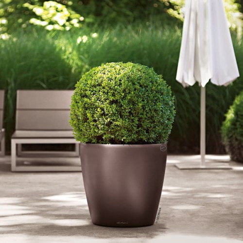 Donica Lechuza Classico espresso metalik 600x600.jpg