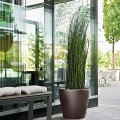 Donica Lechuza Classico espresso metalik 600x600_2.jpg