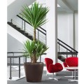 Donica Lechuza Classico espresso metalik 600x600_3.jpg