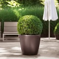 Donica Lechuza Classico espresso metalik 600x600.jpg