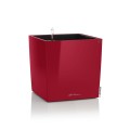 Cube Premium_czerwony scarlet połysk 600x600.jpg