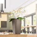 Mini Cubi i Maxi Cubi taupe połysk_ Phalaenopsis.jpg