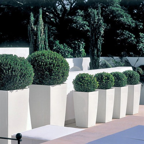 Donice Cubico 30,40 biały połysk_bukszpany.jpg