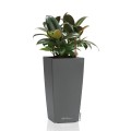 Maxi Cubi antracyt metalik_Ficus .jpg