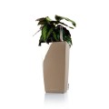 Maxi Cubi taupe połysk _maranta.jpg