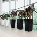 Cubico 40_biały połysk, czarny połysk_Alocasia.jpg
