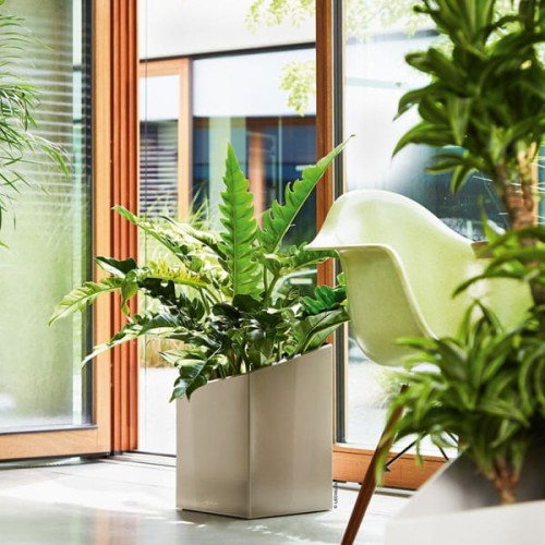 Donica Lechuza Cursivo 40_ taupe połysk.jpg