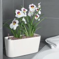 Donice Lechuza Delta 10 i 20_biały połysk_Miltonia.jpg