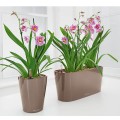 Donice Lechuza Delta 10 i 20_taupe połysk_Deltinii taupe_Miltonia.jpg