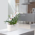 Donice Lechuza Delta 20_biały połysk_Miltonia.jpg