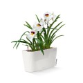 Donice Lechuza Delta 20_biały połysk_Miltonia biała.jpg