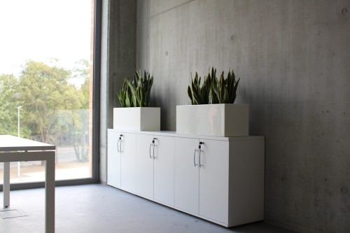 3cabb29d8b62858ce68d348affa83bef