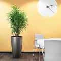 Lechuza Rondo 40 antracyt metalik_Dracena Anita.jpg