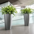 Lechuza Rondo 40 antracyt metalik_Dracena Lemon.jpg