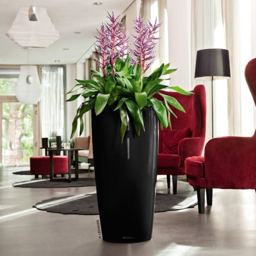 Lechuza Rondo 40 czarny połysk_Aechmea fasciata.jpg