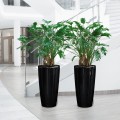Lechuza Rondo 40 czarny połysk_Filodendron.jpg