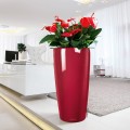 Lechuza Rondo 40 czerwony scarlet połysk_Anturium_1.jpg