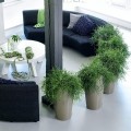 Rondo 40_taupe połysk_Rhipsalis_5.jpg