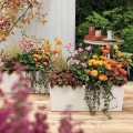 Balconera Color 50_biały_aranżacja jesienna.jpg