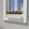 Balconera Cottage 80 biały_dianthus.jpg