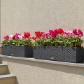 Balconera Cottage 80_granit_Cyclamen.jpg