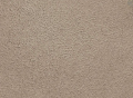 Lechuza Canto Color - kolor piaskowy.png