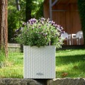 Donica Lechuza Cube Cottage 30  biały_lawenda.jpg