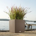 Donica Lechuza Cube Cottage 40 brązowy mokka_pennisetum.jpg