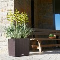 Donica Lechuza Cube Cottage 40 brązowy mokka_Tillandsia.jpg