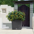 Donica Lechuza Cube Cottage 40 granit_lantana.jpg