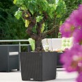 Donica Lechuza Cube Cottage 50_granit_winorośl.jpg