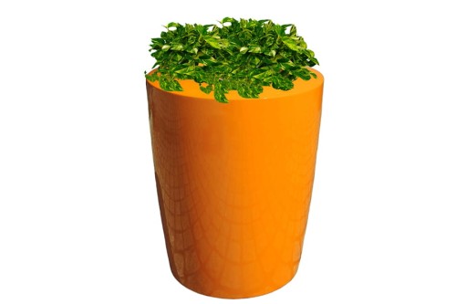 Anakena_yellow orange_epipremnum.jpg