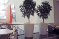 Donice Anakena XXL_biały signal white połysk_aranżacja w holu centrum handlowego.jpg