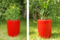 Donice Anakena M_Anakena L_czerwony Ruby Red_aranżacja w naturze.jpg