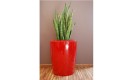 Donice Anakena M_czerwony Ruby Red_aranżacja_sansewieria.jpg