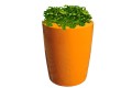 Donica Anakena_yellow orange_epipremnum.jpg
