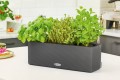 Donica Lechuza Balconissima_CUBE color TRIPLE_szary łupek_aranżacja z ziołami.jpg