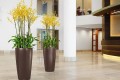 Donica Lechuza Rondo 40_brązowy espresso metalik_orchidee.jpg