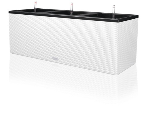 7aebf87af3b178f52c2f24da6ce62b62