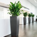 Donica Lechuza Cubico Alto antracyt metalik_Aspidistra_4.jpg