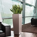 Donica Lechuza Cubico Alto taupe połysk_Sansewieria laurentii.jpg