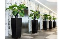 Donica Lechuza Cubico Alto_czarny połysk_aranżacja.jpg
