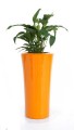 Donica Parga pomarańczowy połysk