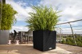 Lechuza Cube Cottage 30_grafitowy czarny_Liriope_muscari.jpg