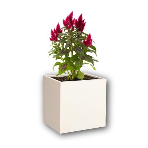 caea9233911783822e7468664649d75b