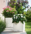 Lechuza Cube Cottage 30_40 _kolor biały